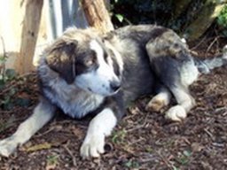 izbav_20211129_2000476759